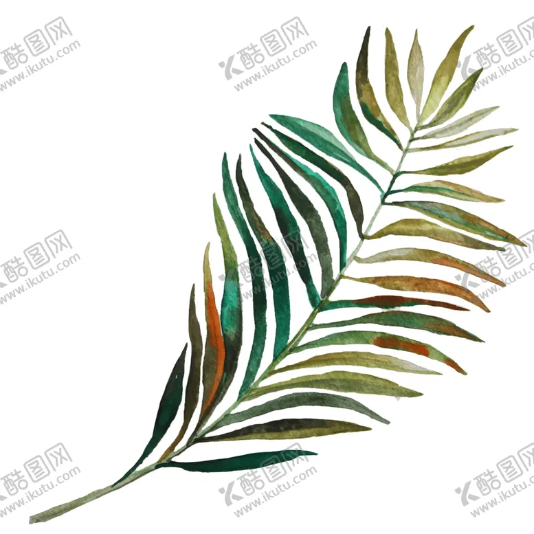 编号：89985902022028238250【酷图网】源文件下载-手绘树叶