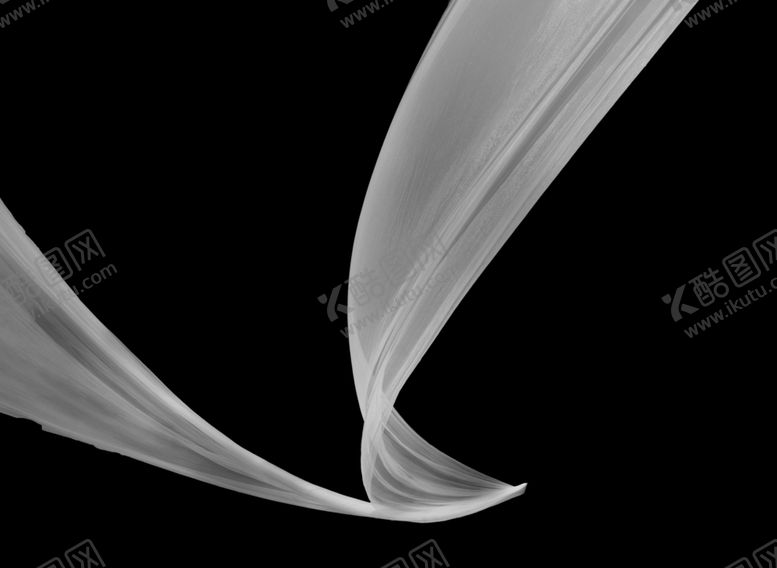 编号：36954509171436284318【酷图网】源文件下载-婚纱飘带