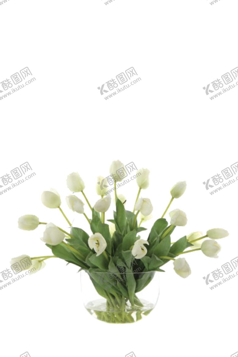 编号：34419407020419431017【酷图网】源文件下载-免抠背景花草树木
