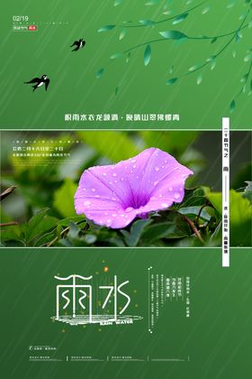 雨水海报