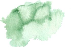 海报元素花草元素展架元素