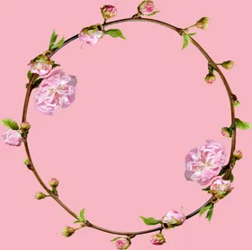 花框