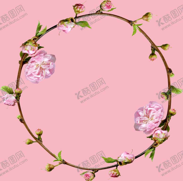 编号：21935410040605575873【酷图网】源文件下载-花框