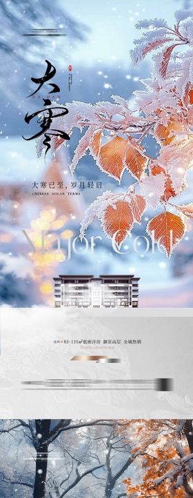 小寒大寒节气海报冬天下雪叶子简洁