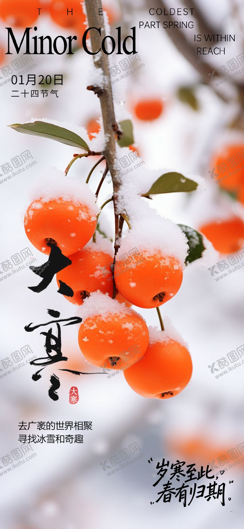 编号：68472901150206382178【酷图网】源文件下载-大寒海报