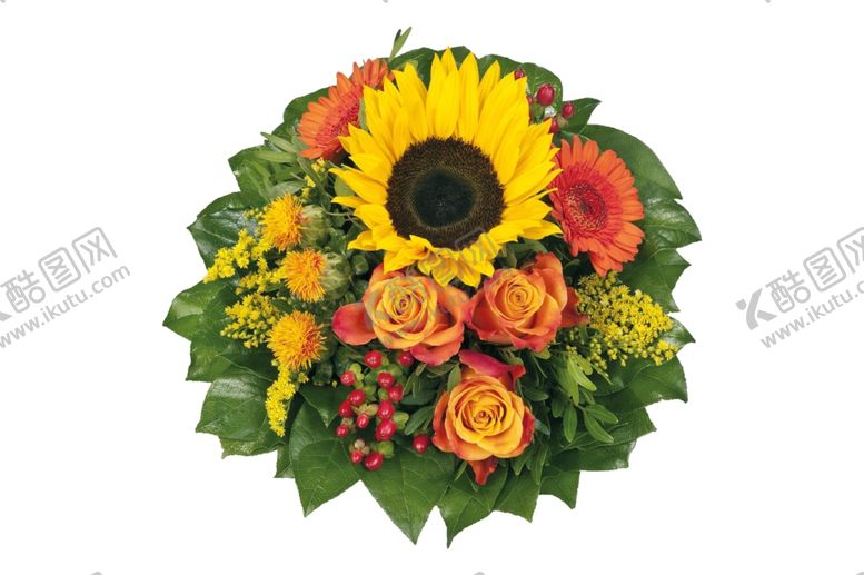 编号：82675010291006383817【酷图网】源文件下载-花朵