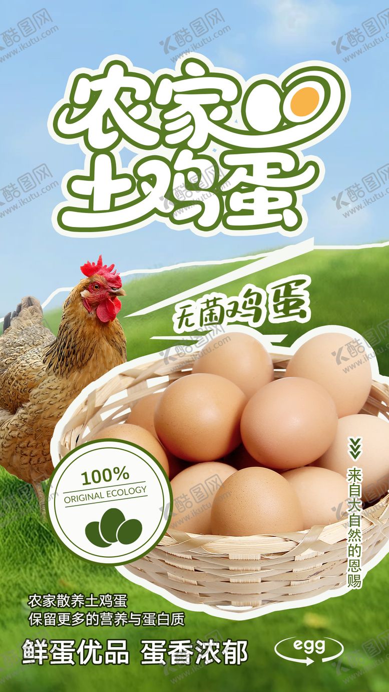 编号：78439307091512317424【酷图网】源文件下载-农家土鸡蛋宣传海报
