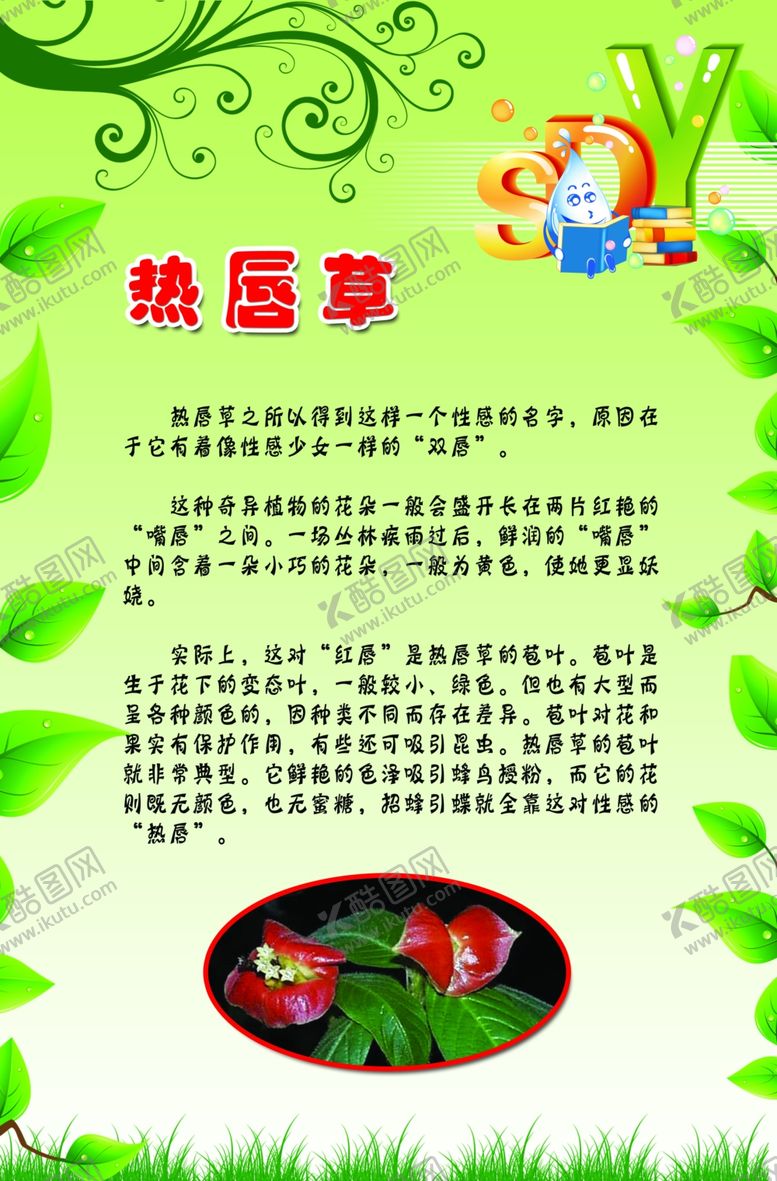 编号：30521910082122541409【酷图网】源文件下载-植物科普 热唇草