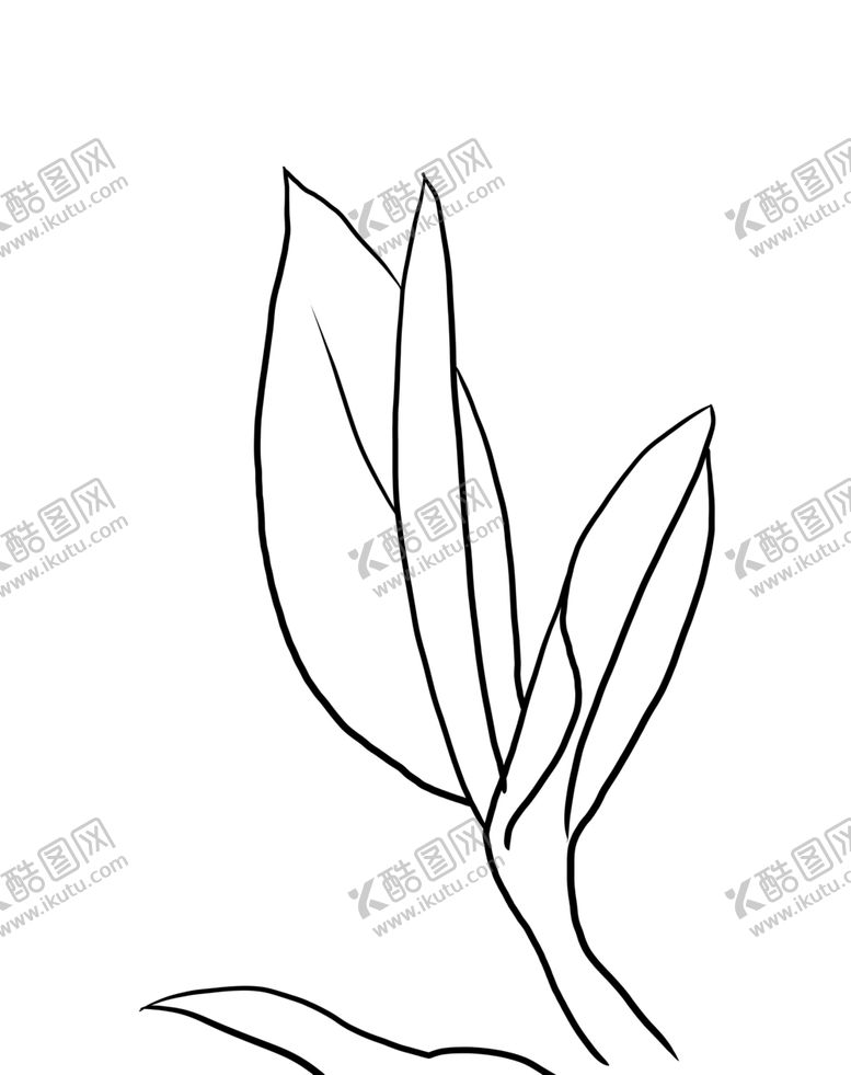 编号：89821207121559166076【酷图网】源文件下载-茶叶