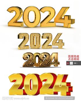 2024数字设计