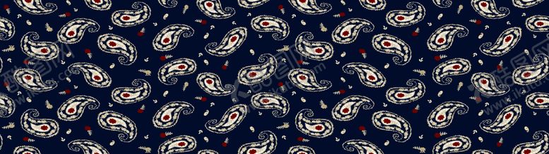 编号：20986806271909189147【酷图网】源文件下载-腰果定位