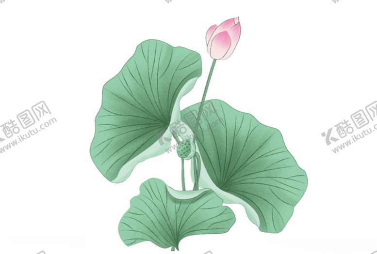 编号：85736309231418546230【酷图网】源文件下载-水墨风荷花图片