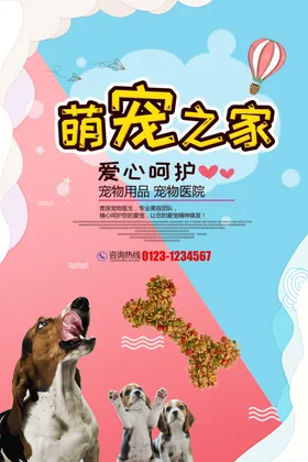 宠物海报