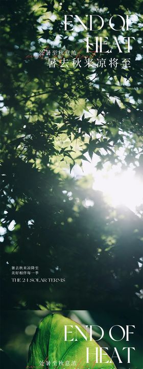 处暑节气移动端海报