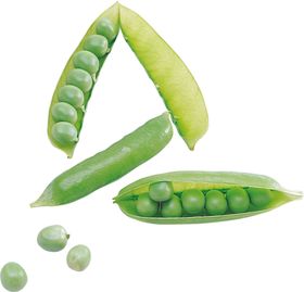 青豆