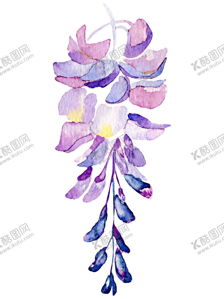 编号：88921402041525064251【酷图网】源文件下载-花卉背景