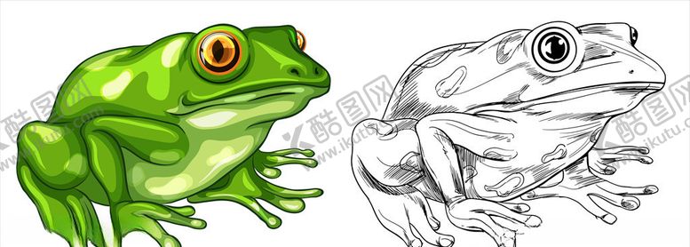 编号：98680910090344482015【酷图网】源文件下载-卡通青蛙
