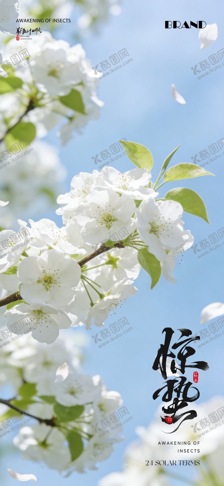 编号：95371303050204036253【酷图网】源文件下载-惊蛰节气海报