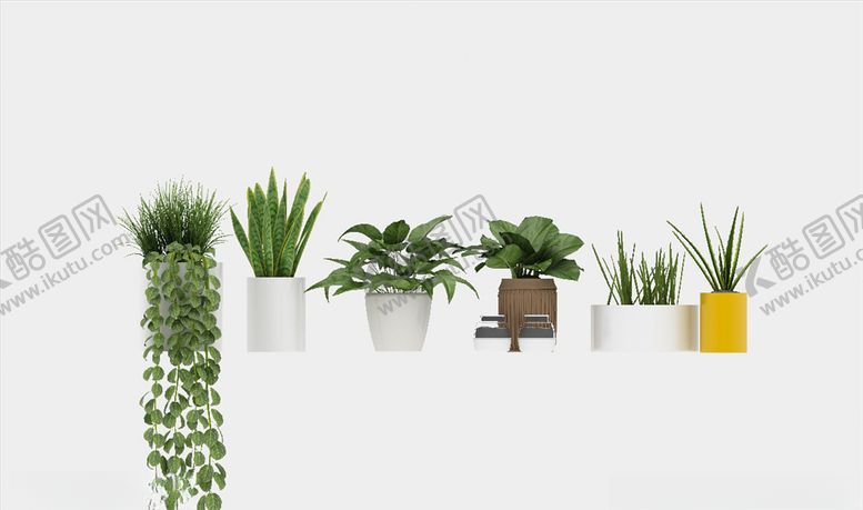编号：42438810041036014604【酷图网】源文件下载-绿色植物花篮盆栽