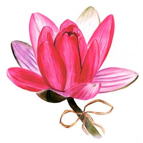 莲花