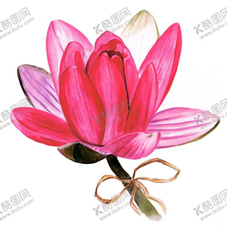 编号：85019309200234227362【酷图网】源文件下载-莲花