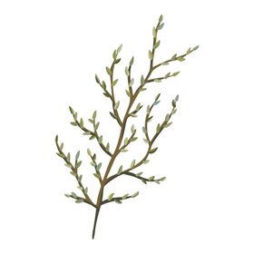 森系花枝
