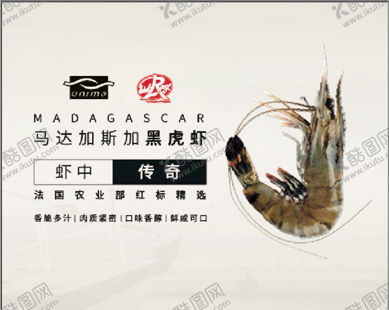 编号：96161309091900009549【酷图网】源文件下载-马达加斯加黑虎虾