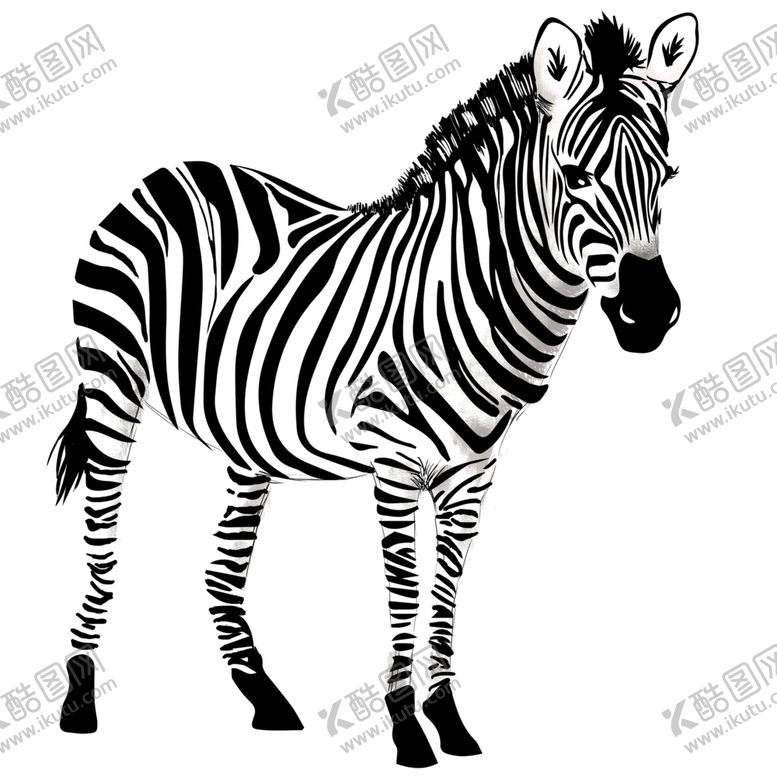 编号：79286209290337047009【酷图网】源文件下载-手绘动物