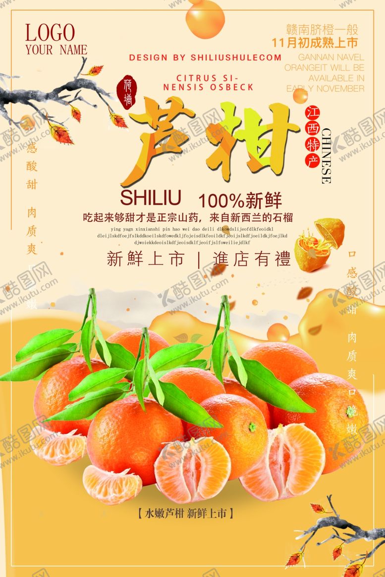 编号：24139807050317303489【酷图网】源文件下载-芦柑