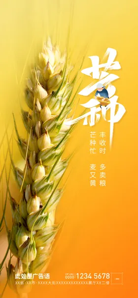 芒种节气二十四节气丰收设计