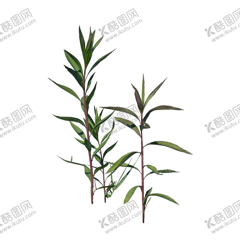 编号：65034909261923000295【酷图网】源文件下载-草