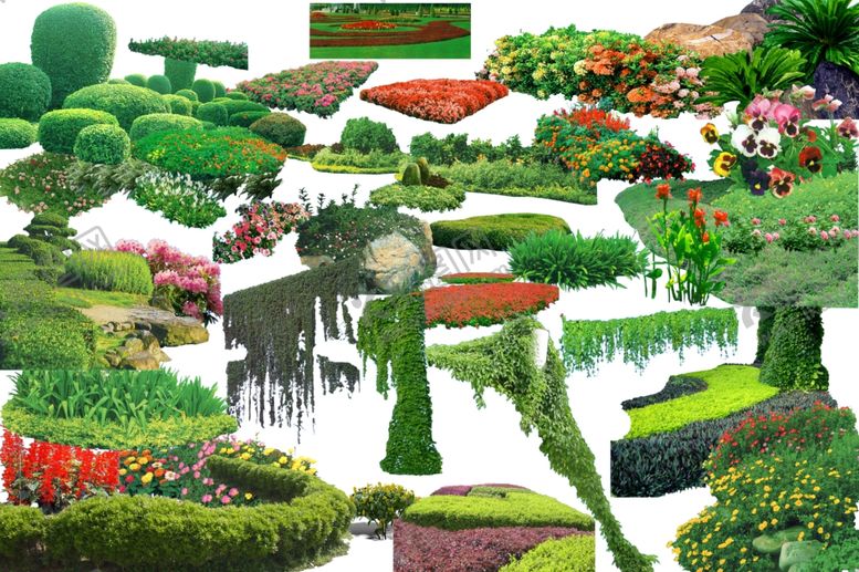 编号：33780610050628265288【酷图网】源文件下载-园林绿色素材设计图