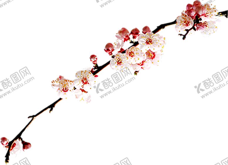 编号：16550009282314186214【酷图网】源文件下载-浪漫素材