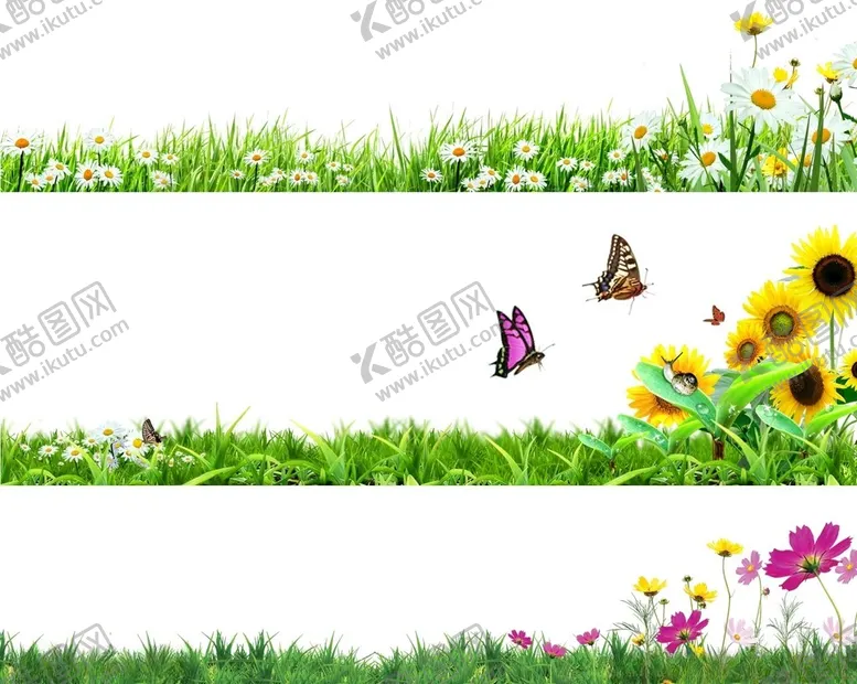 编号：36739001270124319382【酷图网】源文件下载-免扣花草
