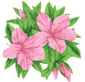 百合