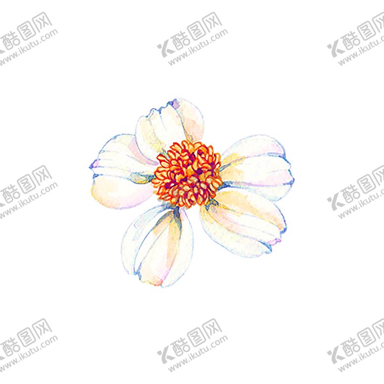 编号：60087806160150595446【酷图网】源文件下载-鲜花装饰