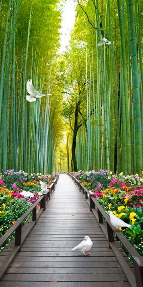 花鸟画鸽子竹林玄关图