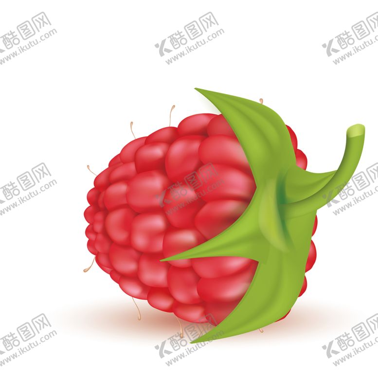 编号：14614210031211101870【酷图网】源文件下载-水果