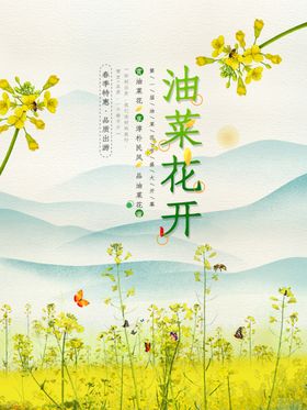 油菜花