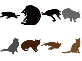 卡通猫