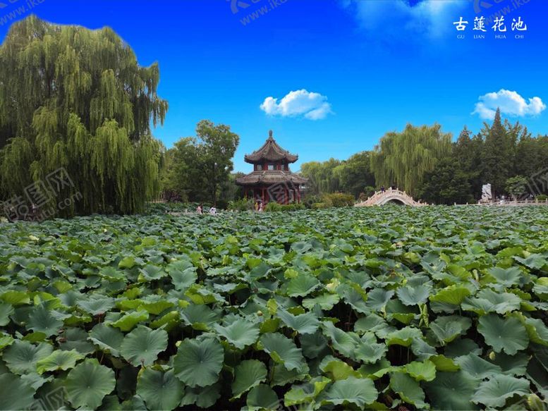 编号：11505612061515097347【酷图网】源文件下载-古莲花池