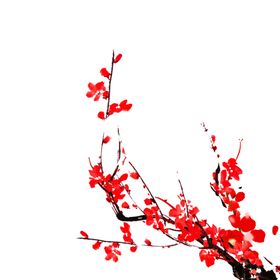 梅花树枝元素