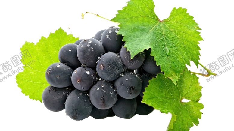 编号：84427010141520413813【酷图网】源文件下载-水果海报