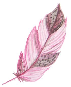 手绘水彩羽毛