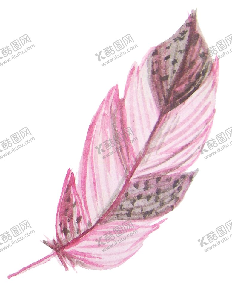 编号：24412710301936281106【酷图网】源文件下载-手绘水彩羽毛