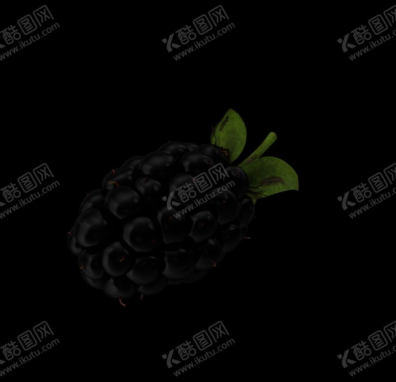 编号：26187110281530528127【酷图网】源文件下载-桑葚免扣