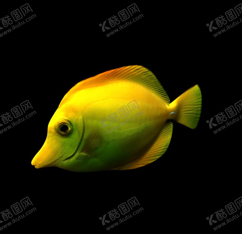 编号：45874507091653514374【酷图网】源文件下载-海洋生物