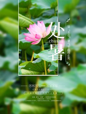 处暑