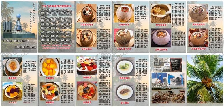 编号：96814305131009579712【酷图网】源文件下载-椰子甜品炖汤画册