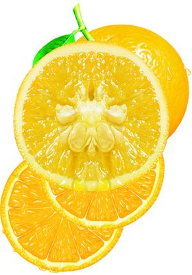 橙子水果设计素材食品